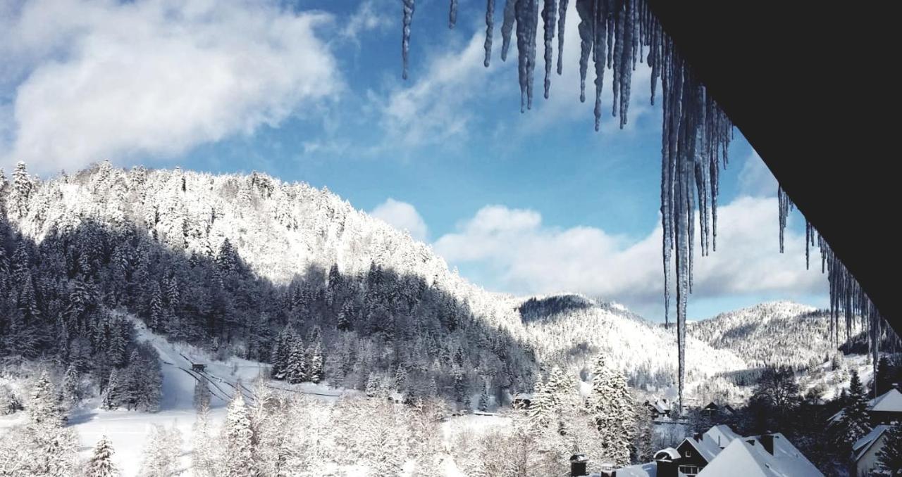 Hotel Grossbach Menzenschwand-Hinterdorf Esterno foto