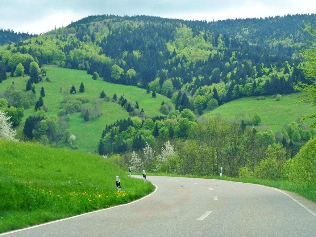 Hotel Grossbach Menzenschwand-Hinterdorf Esterno foto