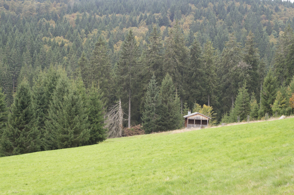 Hotel Grossbach Menzenschwand-Hinterdorf Esterno foto